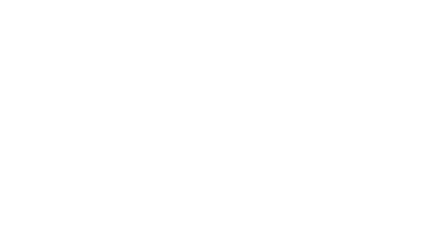 Flamingo Travel & Tours